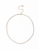 Pearl necklace on a white background